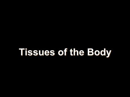 Tissues of the Body. Key Terms Histology: Histology: the study of tissues. the study of tissues. Tissues: Tissues: groups of cells which are similar in.