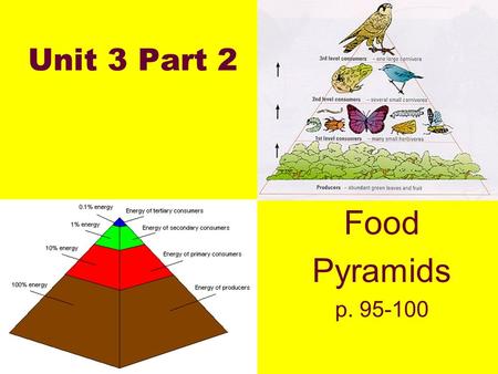 Unit 3 Part 2 Food Pyramids p. 95-100. Define Food Pyramid Food Pyramid = Diagram showing each trophic level as a horizontal bar. Producers are located.