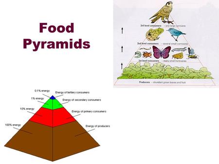 Food Pyramids.