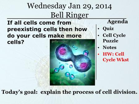 Wednesday Jan 29, 2014 Bell Ringer Agenda Quiz Cell Cycle Puzzle Notes HW: Cell Cycle Wkst Today’s goal: explain the process of cell division. If all cells.