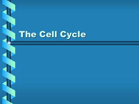 The Cell Cycle. Cell Division is Mitosis For single celled organisms, this increases their population.For single celled organisms, this increases their.