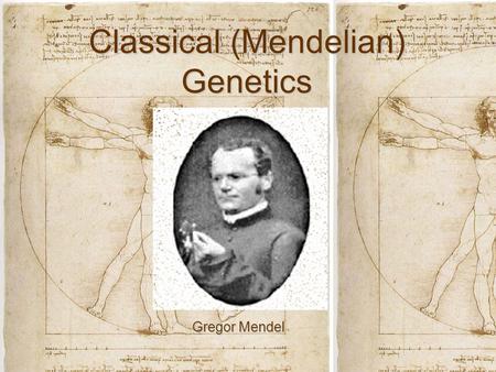 Classical (Mendelian) Genetics Gregor Mendel. Vocabulary Heredity: The passing of genetic traits from parents to childHeredity: The passing of genetic.