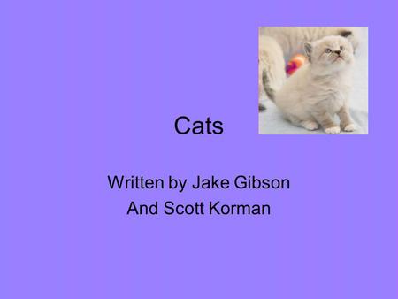 Cats Written by Jake Gibson And Scott Korman. As kittens grow up they continually change and learn new things. Kittens are born with blue eyes but they.