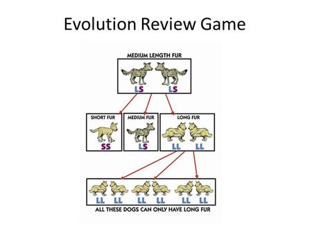 Evolution Review Game. Alexander : Macedonia :: Hannibal : 1.Rome 2.Carthage 3.Jerusalem 4.Babylon Countdown 20 Response Grid.