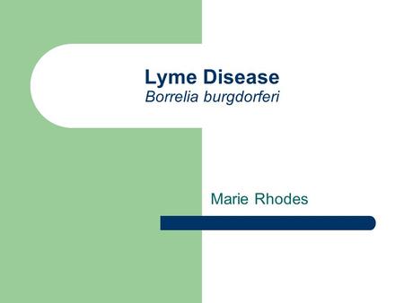 Lyme Disease Borrelia burgdorferi Marie Rhodes. Vector Blacklegged tick or deer tick (northeastern and north-central US) Western blacklegged tick (pacific.