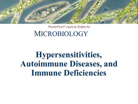 PowerPoint ® Lecture Slides for M ICROBIOLOGY Hypersensitivities, Autoimmune Diseases, and Immune Deficiencies.