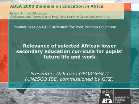 Beyond Primary Education: Challenges of and Approaches to Expanding Learning Opportunities in AfricaAssociation for the Development of Education in Africa.