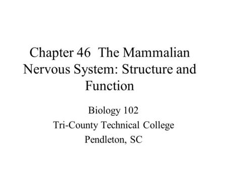 Chapter 46 The Mammalian Nervous System: Structure and Function Biology 102 Tri-County Technical College Pendleton, SC.