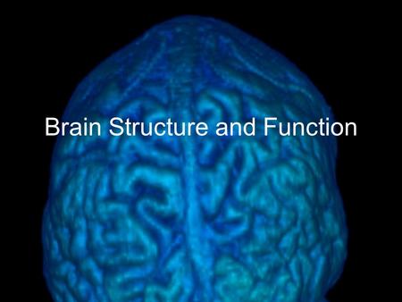 Brain Structure and Function. “If the human brain were so simple that we could understand it, we would be so simple that we couldn’t” -Emerson Pugh, The.