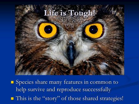 Life is Tough! Species share many features in common to help survive and reproduce successfully Species share many features in common to help survive and.