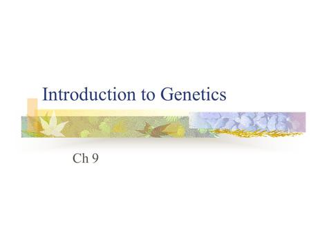 Introduction to Genetics Ch 9. “Animalcules”- tiny people in sperm?