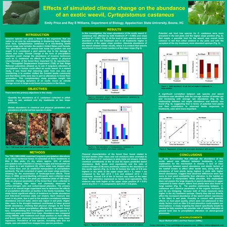 Effects of simulated climate change on the abundance of an exotic weevil, Cyrtepistomus castaneus Bryan Marbert (ASU ) and Paul Hanson (ORNL) Contact Information: