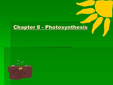 Chapter 8 - Photosynthesis. Overview of Photosynthesis and Respiration Overview of Photosynthesis and Respiration 3. PHOTOSYNTHESIS 5. RESPIRATION 1.