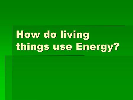 How do living things use Energy?. Objective:  Where do living things get energy and how do they use it?