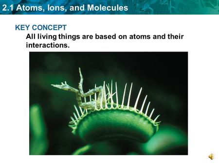 2.1 Atoms, Ions, and Molecules KEY CONCEPT All living things are based on atoms and their interactions.