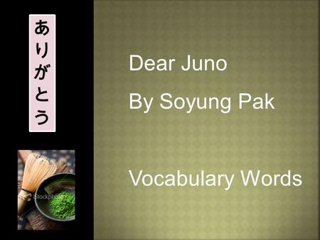 Dear Juno By Soyung Pak Vocabulary Words  answer  company  faraway  parents  picture  school  wash  envelope  persimmons  photograph  smudged.