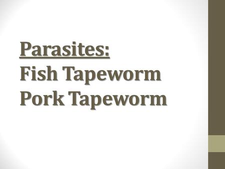 Parasites: Fish Tapeworm Pork Tapeworm. Fish Tapeworm Scientific name is: Diphyllobothrium latum (just write D. latum, no one in science writes that whole.