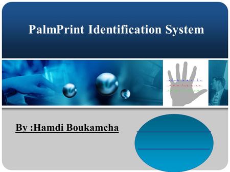 PalmPrint Identification System