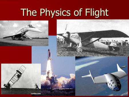 The Physics of Flight.