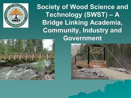 Society of Wood Science and Technology (SWST) – A Bridge Linking Academia, Community, Industry and Government.