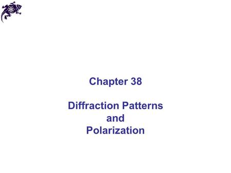 Chapter 38 Diffraction Patterns and Polarization.