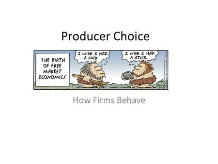 Producer Choice How Firms Behave. What are Profits?