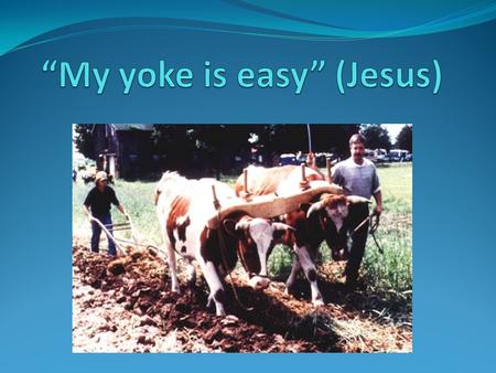 Learning from Jesus’ prayers: the choices people make Mat 11:25-26 At that time Jesus said, I praise you, Father, Lord of heaven and earth, because you.