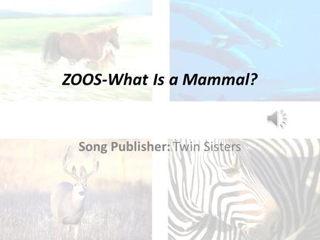 ZOOS-What Is a Mammal? Song Publisher: Twin Sisters.