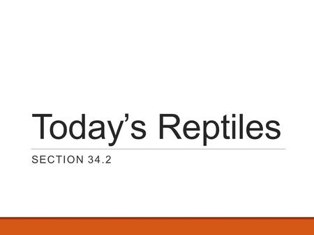 Today’s Reptiles SECTION 34.2. Lizards Iguanas, chameleons, geckos, anoles, horned lizards Some are herbivores – most are carnivores Many can regenerate.