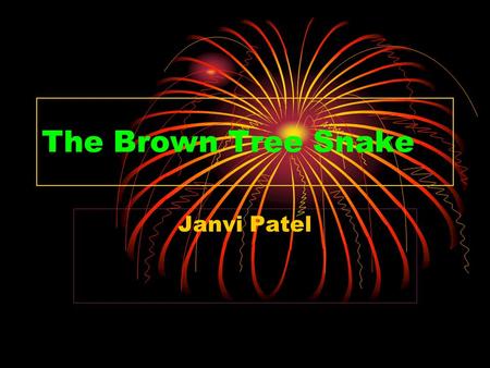 The Brown Tree Snake Janvi Patel.