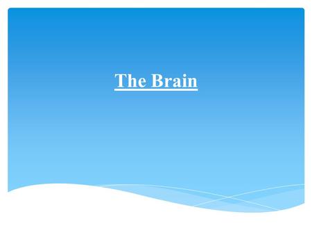 The Brain.  In the past it was believed that the brain underwent all of its changes in childhood and then began its path towards decline. The brain was.