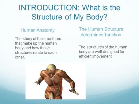 INTRODUCTION: What is the Structure of My Body?