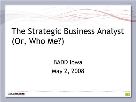 1 The Strategic Business Analyst (Or, Who Me?) BADD Iowa May 2, 2008.