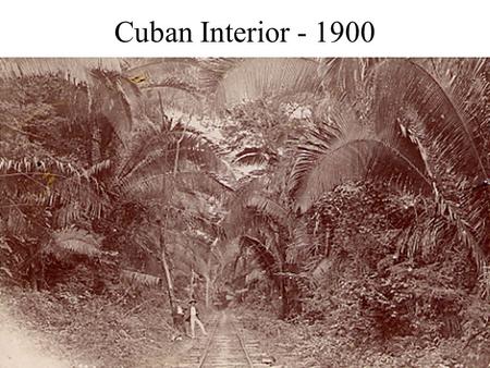 Cuban Interior - 1900. Carlos Juan Finlay (1833 - 1915) Son of a Scottish doctor and a Parisienne, born in Cuba but received early schooling in France.