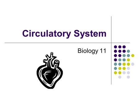 Circulatory System Biology 11. Video PBS: Mysterious Human Heart.