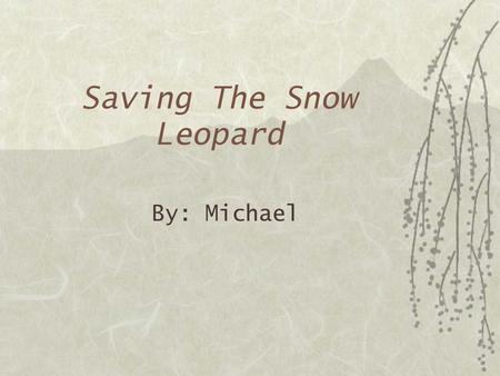 Saving The Snow Leopard By: Michael Snow Leopards Need to be Saved!  Snow Leopards need our help to be saved. Everyone can try their best to help prevent.