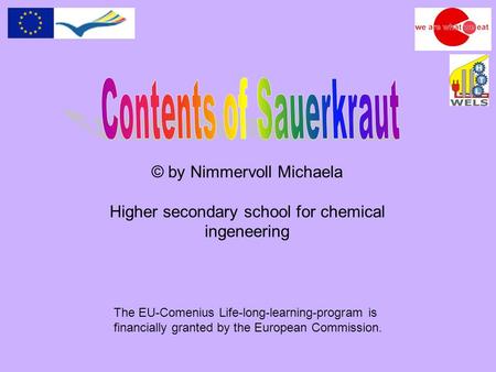 © by Nimmervoll Michaela Higher secondary school for chemical ingeneering The EU-Comenius Life-long-learning-program is financially granted by the European.