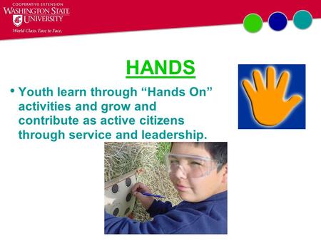 HANDS Youth learn through “Hands On” activities and grow and contribute as active citizens through service and leadership.