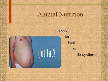 Animal Nutrition Food for Fuel or Biosynthesis. Nutritional requirements Chemical Energy is obtained from the oxidation of complex organic molecules.