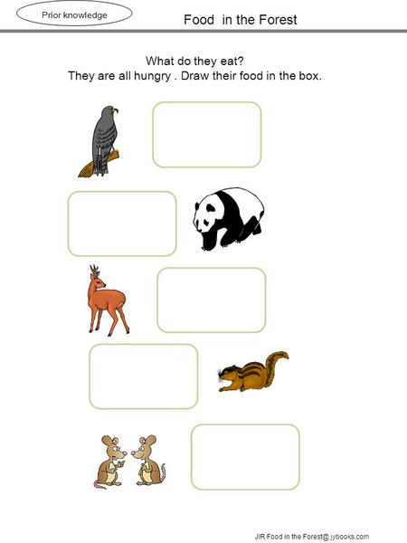 Food in the Forest Prior knowledge What do they eat? They are all hungry. Draw their food in the box. JIR Food in the jybooks.com.