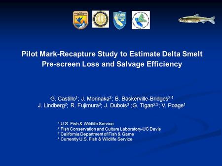 Pilot Mark-Recapture Study to Estimate Delta Smelt Pre-screen Loss and Salvage Efficiency G. Castillo 1 ; J. Morinaka 3 ; B. Baskerville-Bridges 2,4 J.