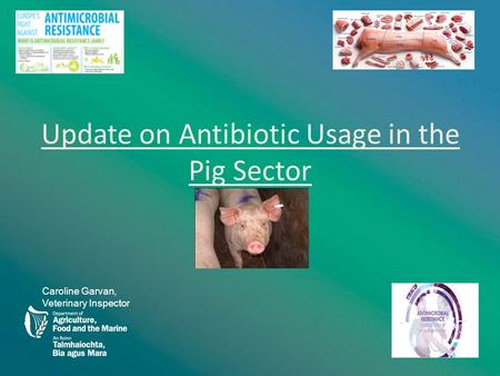 Update on Antibiotic Usage in the Pig Sector Caroline Garvan, Veterinary Inspector.