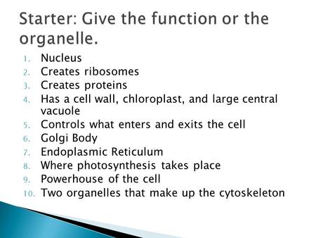 1. Nucleus 2. Creates ribosomes 3. Creates proteins 4. Has a cell wall, chloroplast, and large central vacuole 5. Controls what enters and exits the cell.