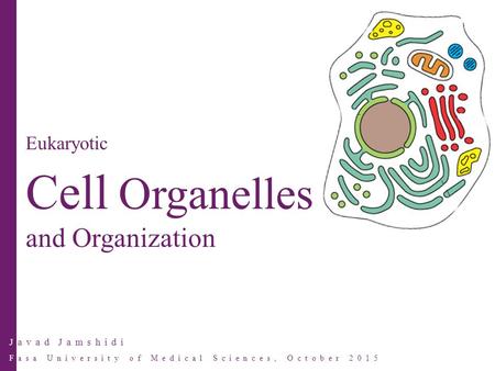 Javad Jamshidi Fasa University of Medical Sciences, October 2015 Eukaryotic Cell Organelles and Organization.