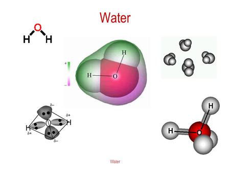 Water. Vibration Spectrum of Water Water The Water Molecule The occupied molecular orbitals (as electron probability distributions of the isolated molecule)