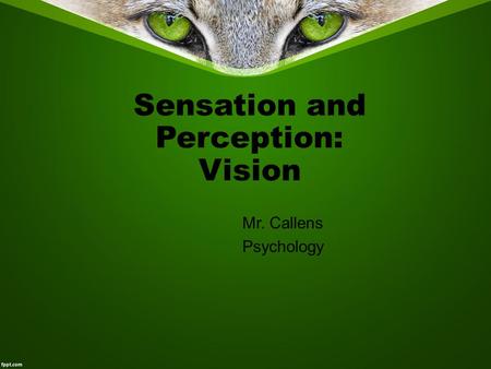 Sensation and Perception: Vision Mr. Callens Psychology.