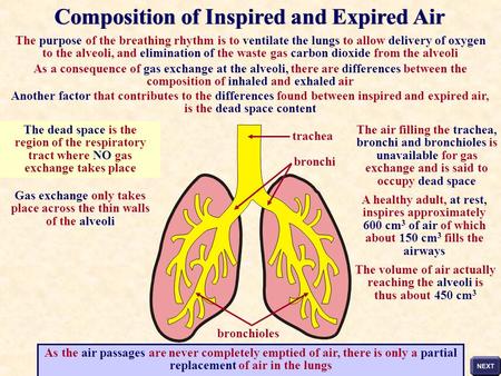 The purpose of the breathing rhythm is to ventilate the lungs to allow delivery of oxygen to the alveoli, and elimination of the waste gas carbon dioxide.