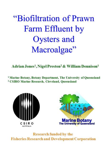 “Biofiltration of Prawn Farm Effluent by Oysters and Macroalgae” Adrian Jones 1, Nigel Preston 2 & William Dennison 1 1 Marine Botany, Botany Department,