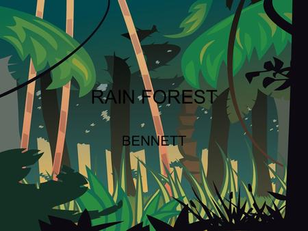 RAIN FOREST BENNETT Climate and Location South America, Central America, Central Asia, Australia and Africa. The average rainfall is 200 centimeters.