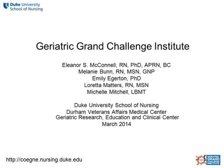 Geriatric Grand Challenge Institute Eleanor S. McConnell, RN, PhD, APRN, BC Melanie Bunn, RN, MSN, GNP Emily Egerton, PhD Loretta Matters, RN, MSN Michelle.